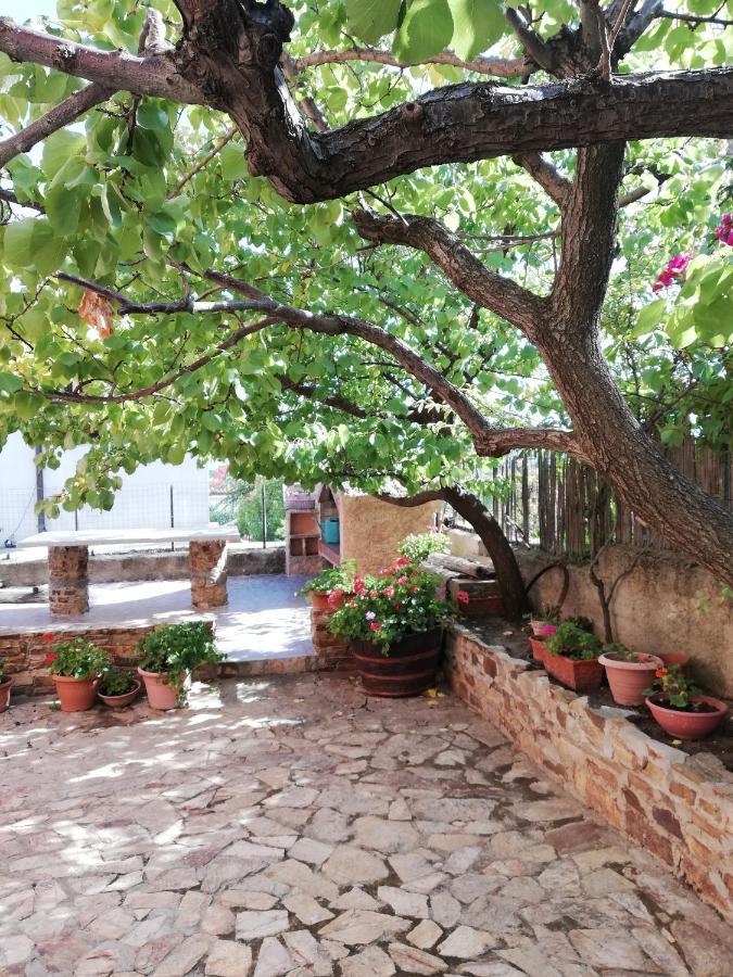 Villa Le Ginestre La Caletta Exterior photo